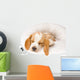 Sleeping Beagle Pup in White Bed Wall Mural