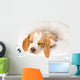 Sleeping Beagle Pup in White Bed Wall Mural