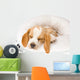 Sleeping Beagle Pup in White Bed Wall Mural