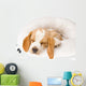 Sleeping Beagle Pup in White Bed Wall Mural