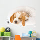 Sleeping Beagle Pup in White Bed Wall Mural