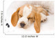 Sleeping Beagle Pup in White Bed Wall Mural