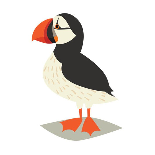Puffin Bird Wall Decal