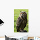 Owl Wall Mural
