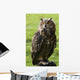 Owl Wall Mural