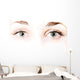 Macro Beautiful Female Eye Wall Mural