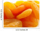 Dried Apricots Wall Mural