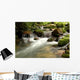 Flowing River with Small Wall Decal