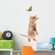 Ginger  kitten playing with a butterfly Wall Decal