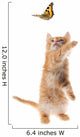 Ginger  kitten playing with a butterfly Wall Decal