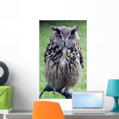 Owl Wall Mural shown on a wall