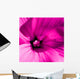 Pink Flower Wall Mural
