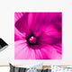 Pink Flower Wall Mural