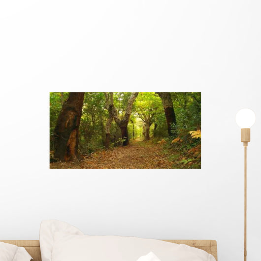Forest Autumn Wall Decal