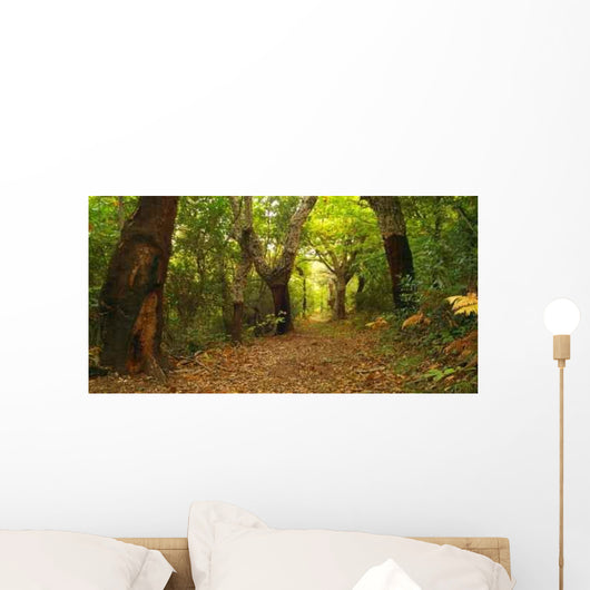 Forest Autumn Wall Decal