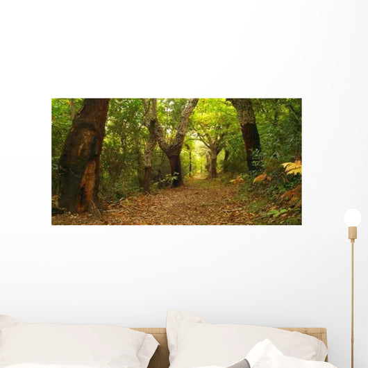 Forest Autumn Wall Decal
