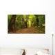 Forest Autumn Wall Decal