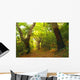 Foret D'automne Wall Decal