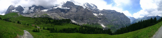 Near Wengernalp Switzerland Wall Decal
