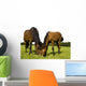 Horses Wall Mural