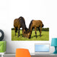 Horses Wall Mural