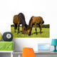 Horses Wall Mural