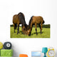 Horses Wall Mural