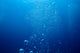 Bubbles in the sea Wall Mural