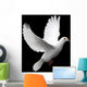 White Dove in Flight 1 Wall Mural