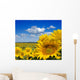 sunflower field Wall Mural