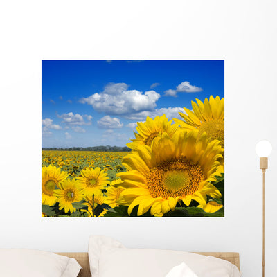 Sunflower Field Wall Mural shown on a wall