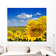 sunflower field Wall Mural