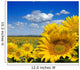 sunflower field Wall Mural