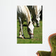 Horse Duet