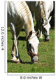 Horse Duet