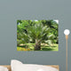 Palm Wall Mural
