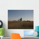 Illinois Wall Decal