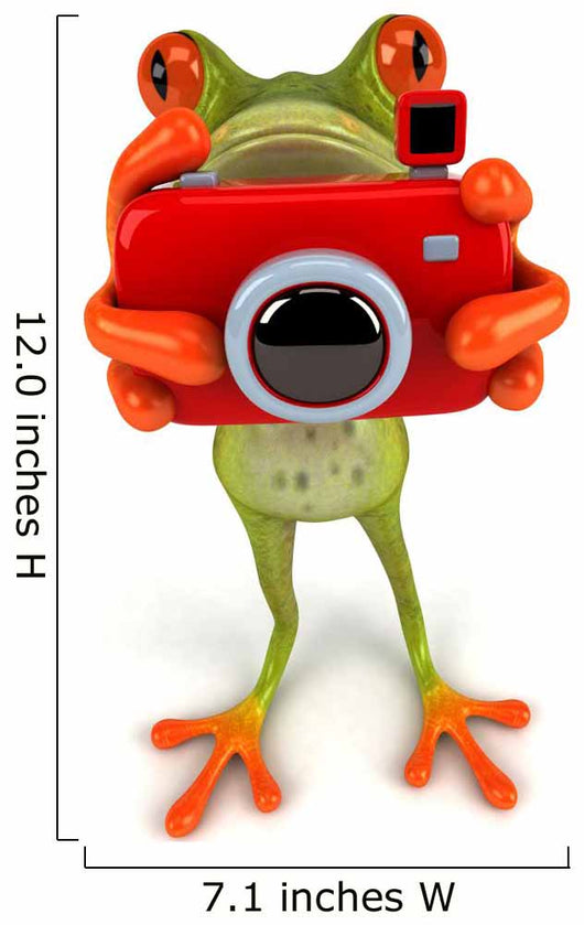 Frog with Camera Wall Decal