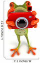 Frog with Camera Wall Decal