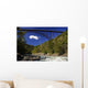 New River Gorge Bridge Wall Decal
