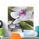 Spa Murals - Orchid on Bamboo Wall Mural