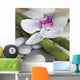 Spa Murals - Orchid on Bamboo Wall Mural