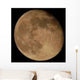 Moon Wall Mural