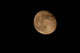 Moon Wall Decal Design 3