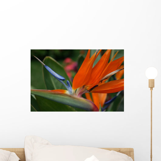 Flower Wall Mural