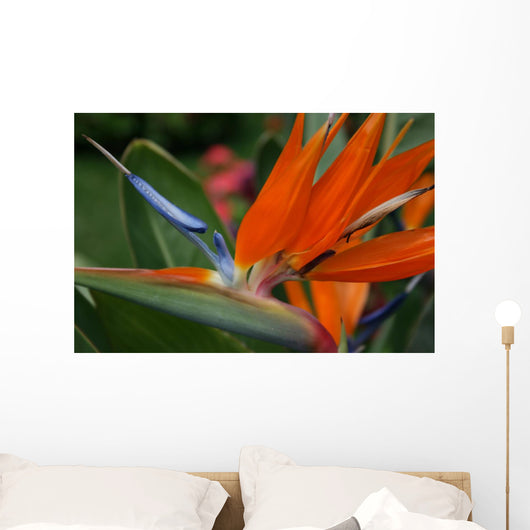 Flower Wall Mural