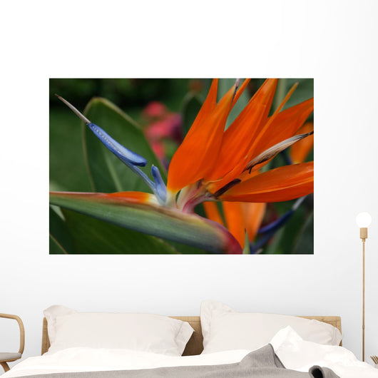 Flower Wall Mural