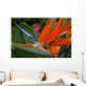 Flower Wall Mural