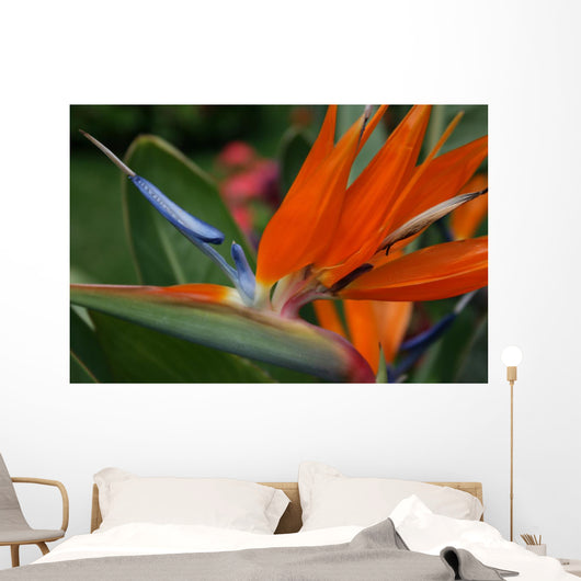 Flower Wall Mural