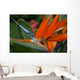 Flower Wall Mural